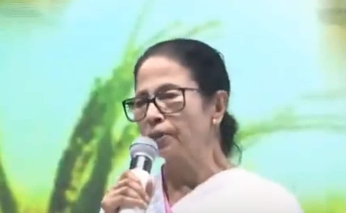 Need “Civic Consciousness”: Mamata Banerjee After Kolkata Deluge