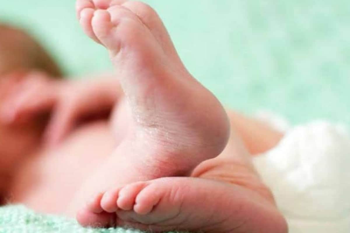 Pregnant Telangana Woman Carried In Doli Due To Lack Of Road, Delivers Baby En Route