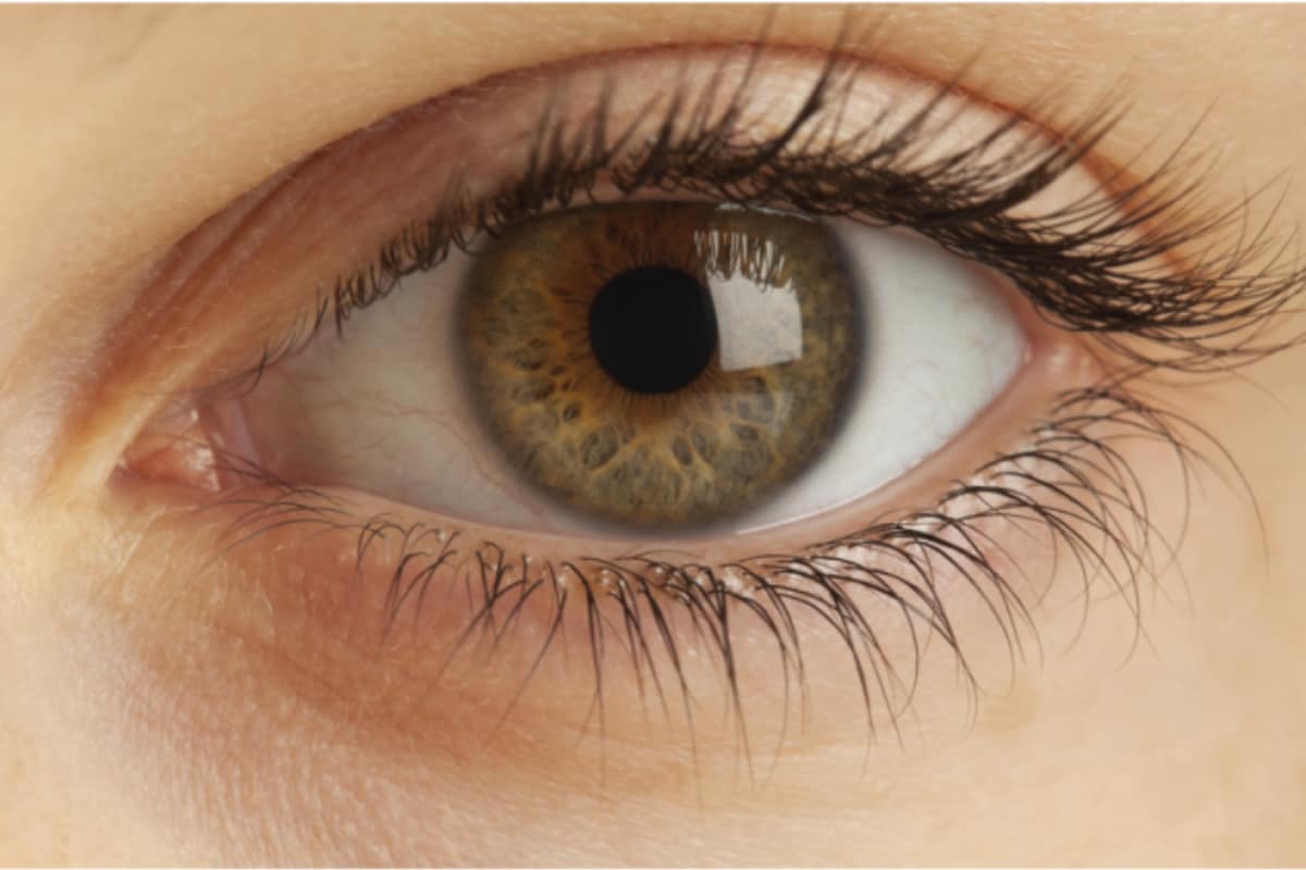 Eye Drop Preparations, Other Drugs May Soon Carry Braille Labels Or Voice-Enabled QR Codes