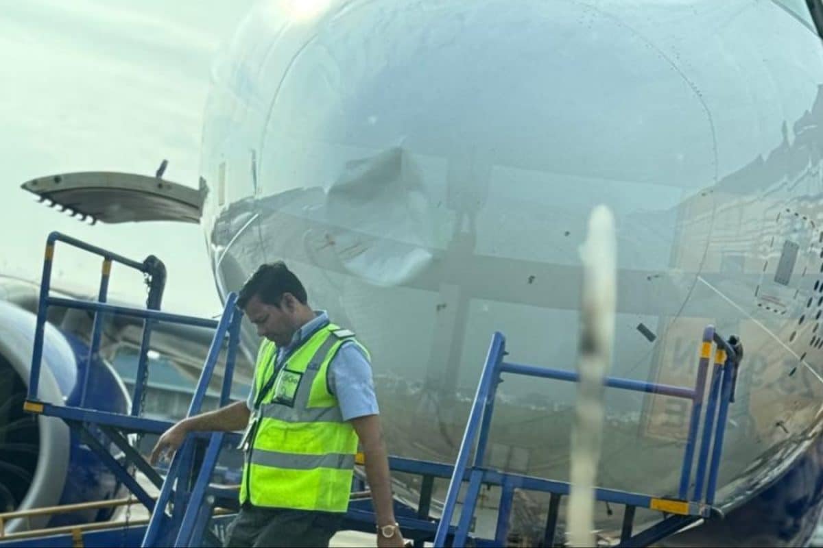 Kolkata-Bound IndiGo Flight With 272 Passengers Returns To Nagpur After Bird Hit