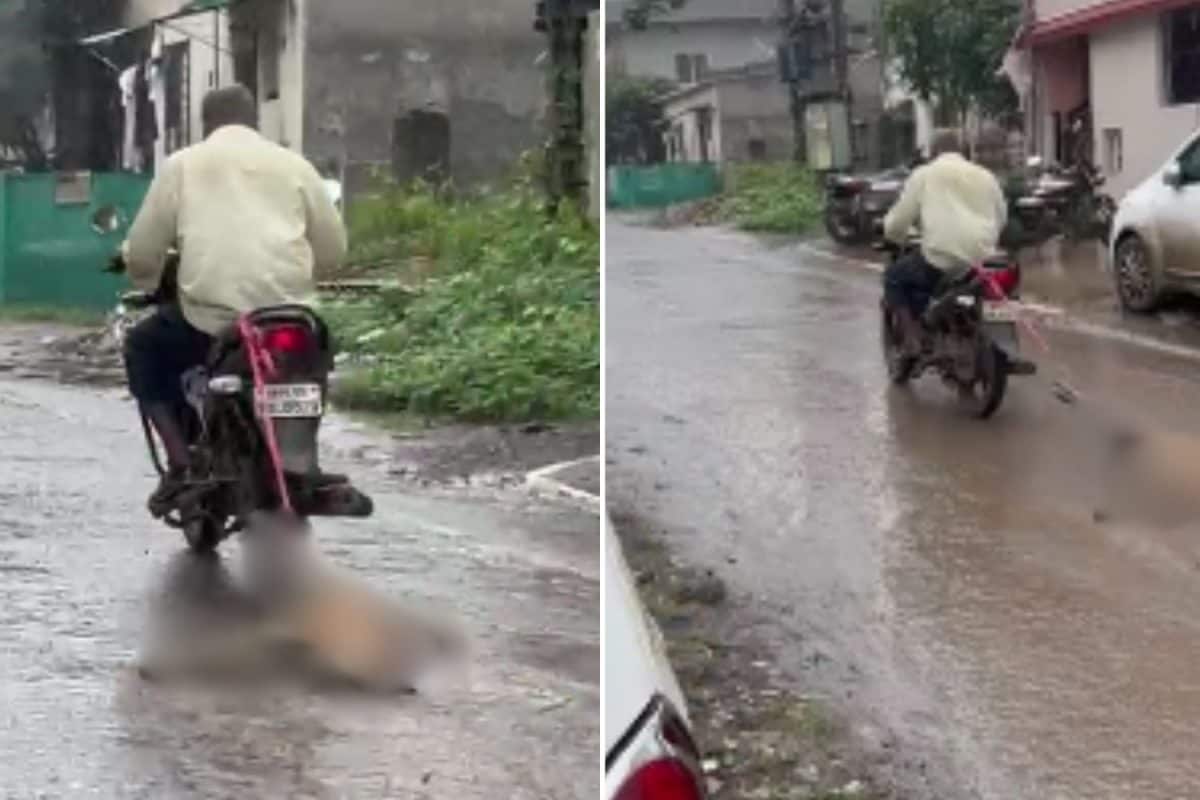 Nashik Man Kills Stray Dog, Then Drags It Behind Bike; Case Filed After Video Surfaces