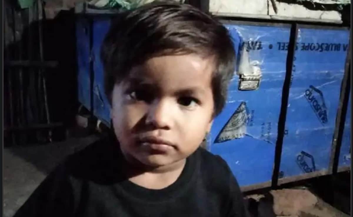 5-Year-Old Boy Beheaded In Front Of Mother In Madhya Pradesh, Killer Lynched
