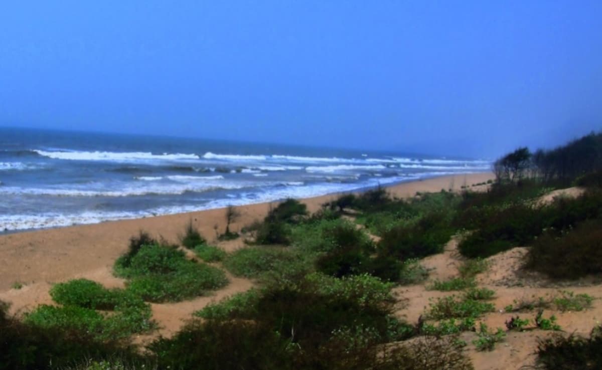 Teen Girl Gang-Raped In Front Of Boyfriend At Puri Beach, 3 Arrested