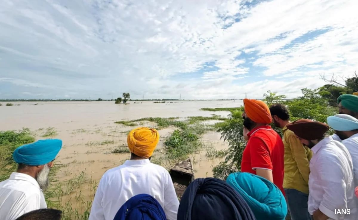 Punjab Floods: 29 Killed, 2.5 Lakh People Impacted In 1 Month