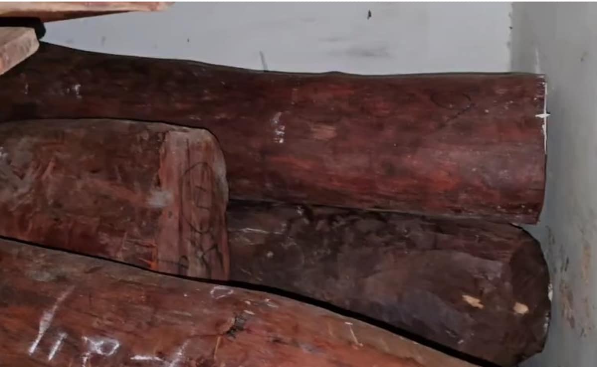 Forest Department Seizes 4,000 Kg Red Sandalwood Worth Rs 12 Crore In Maharashtra