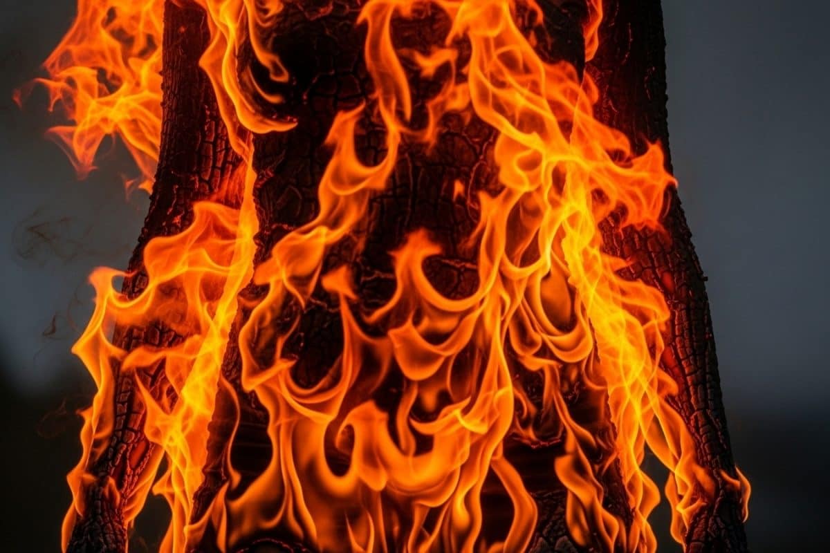 One Dead, 10 Injured In Blast At Fireworks Factory In Maharashtra’s Nagpur