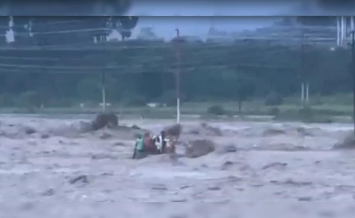 Video: Raging River In Dehradun Overturns Marooned Tractor, 10 People Swept Away