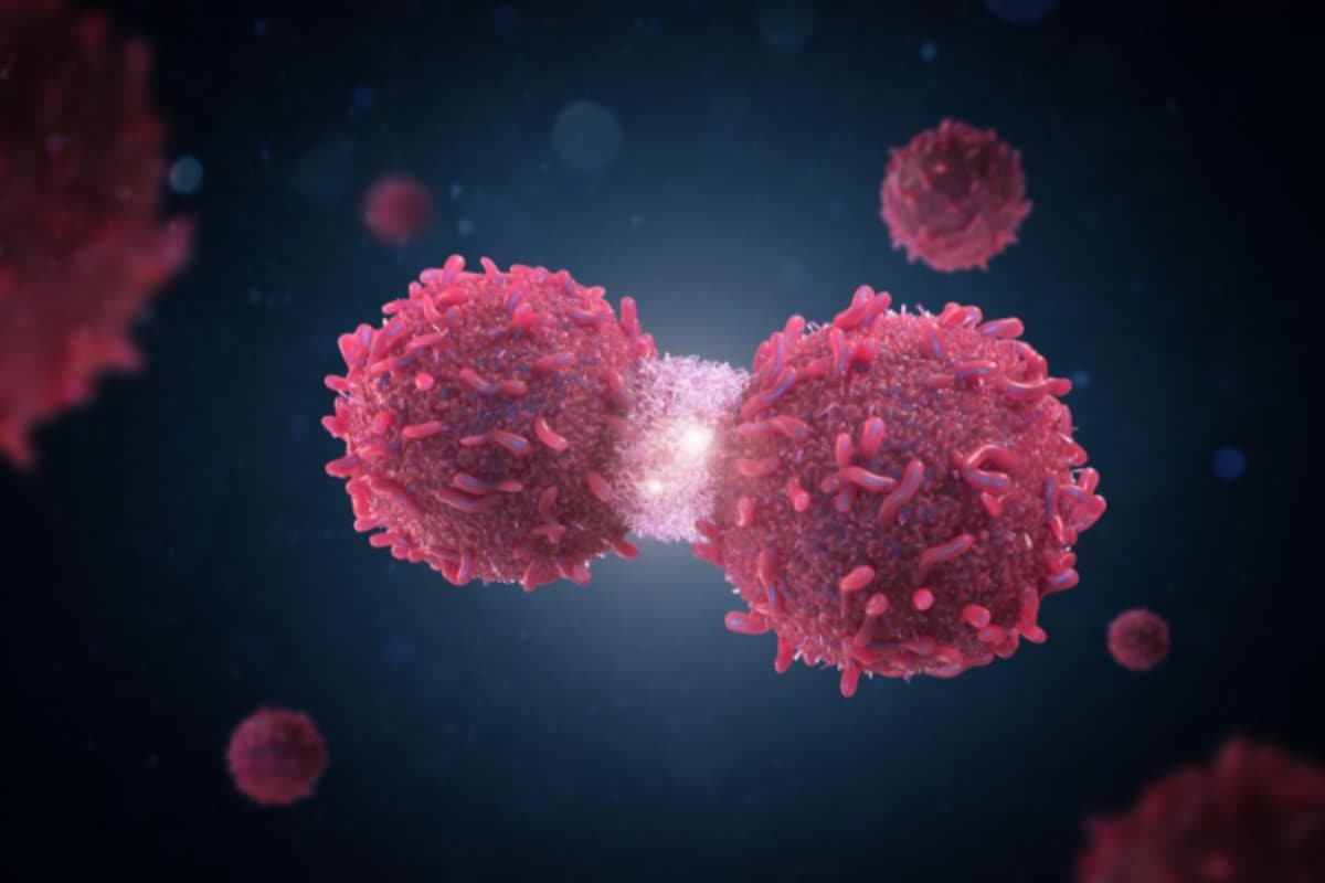 Breast & Lung Cancer Now Leading Causes Of Deaths Due To The Disease In India: Lancet Study