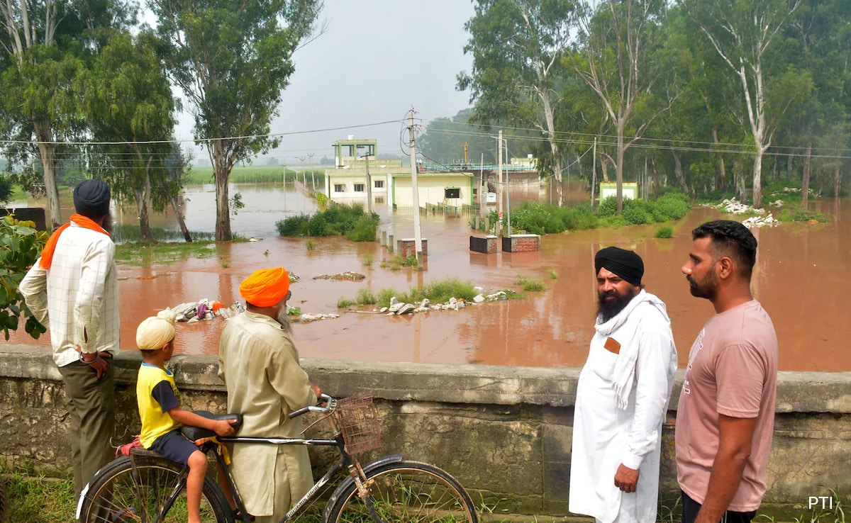 In Pics: Heavy Rain, Floods Ravage Parts Of North India