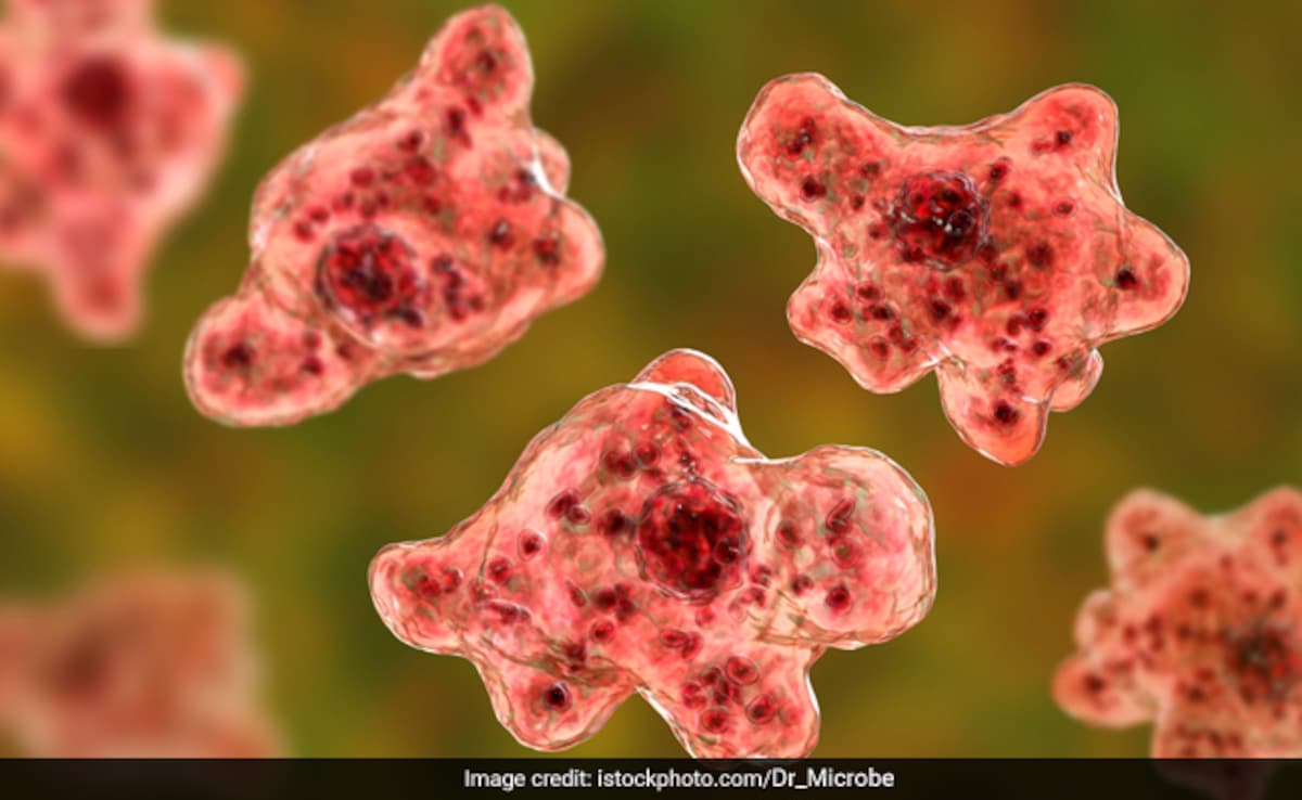 “No Cluster Of” Brain-Eating Amoeba Cases, Clarifies Kerala Health Minister