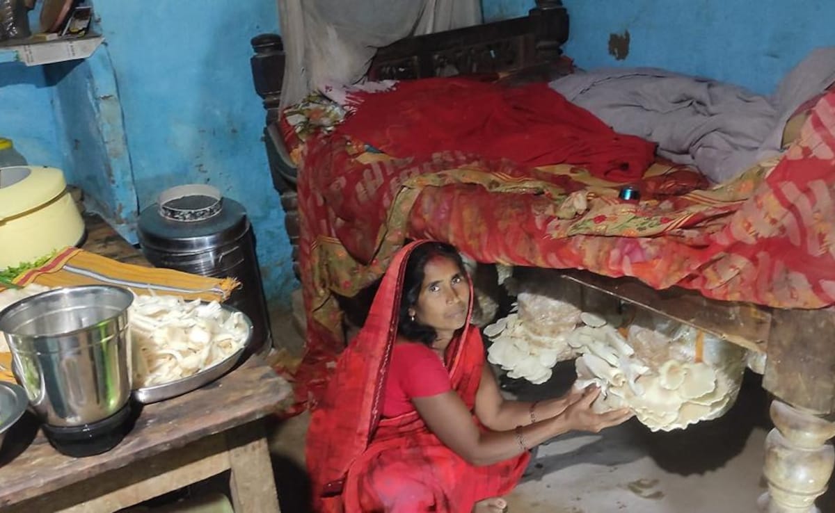Meet Bihar’s ‘Mushroom Lady’ Bina Devi, Who Is Now Empowering 70,000 Rural Women