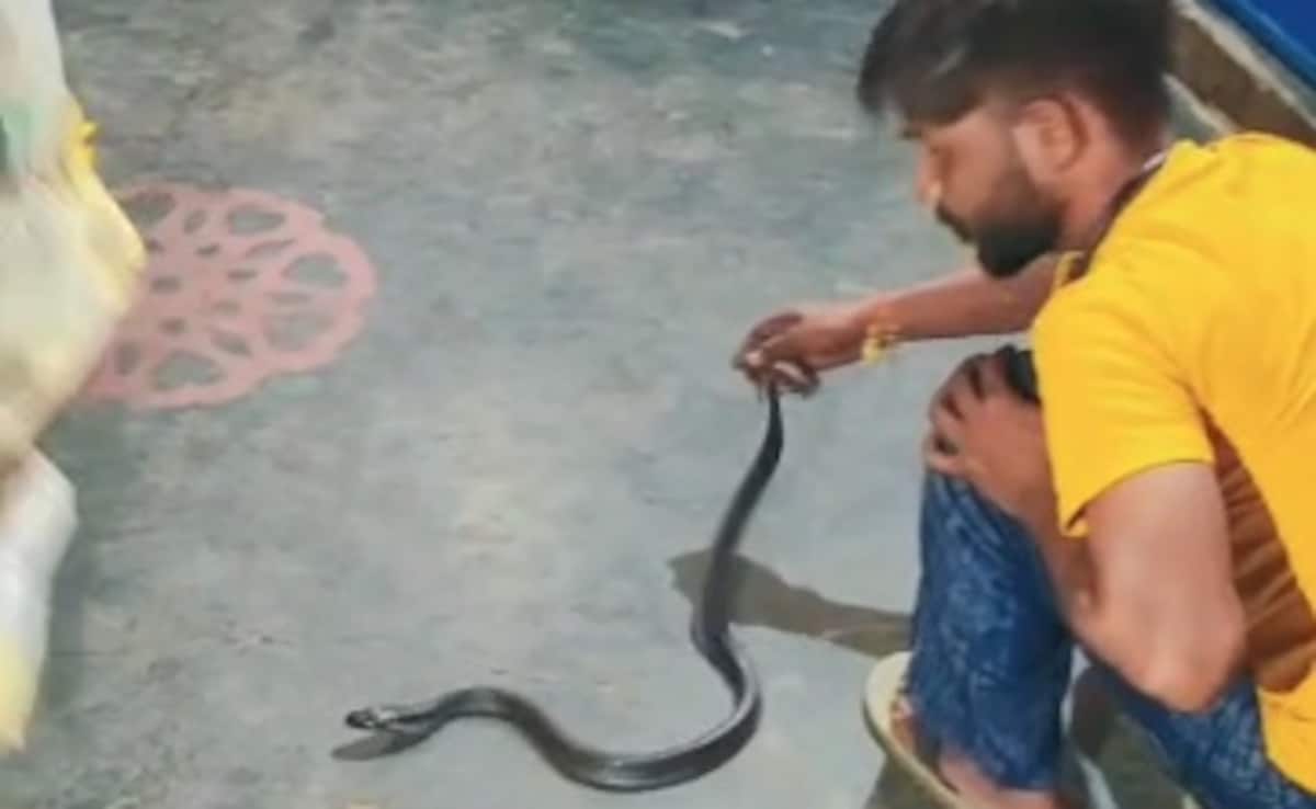 UP Man Dies Of Snakebite While Filming Video