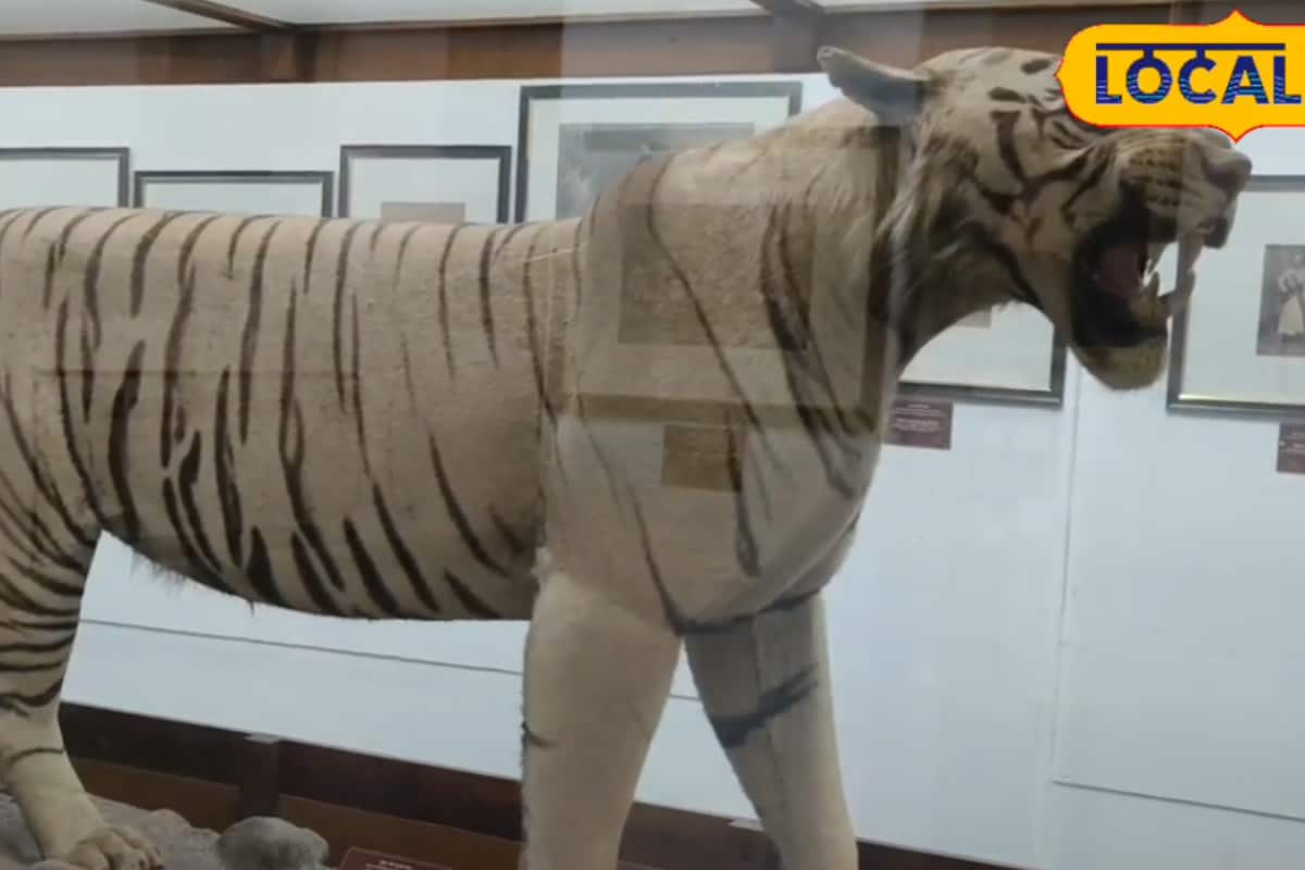 The Maharaja Who Bagged 100 Tigers: Rajasthan’s Royal Hunts Frozen In Time