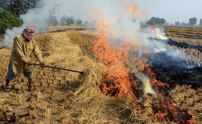 “Send A Few Behind Bars”: Supreme Court On Farmers Burning Stubble