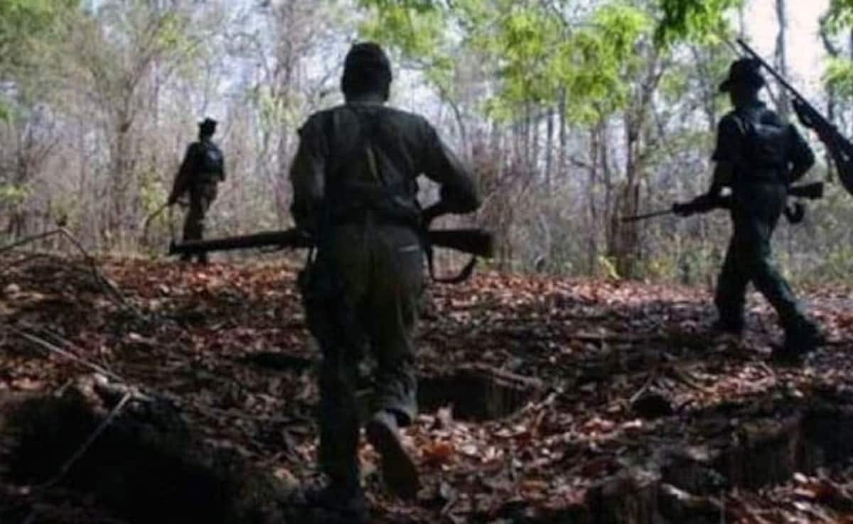 CoBRA Jawan Dies Of Snakebite During Anti-Naxal Operation In Jharkhand