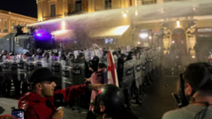 Georgia protesters try to storm Tbilisi presidential palace