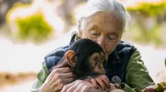 Conservationist Dame Jane Goodall dies aged 91