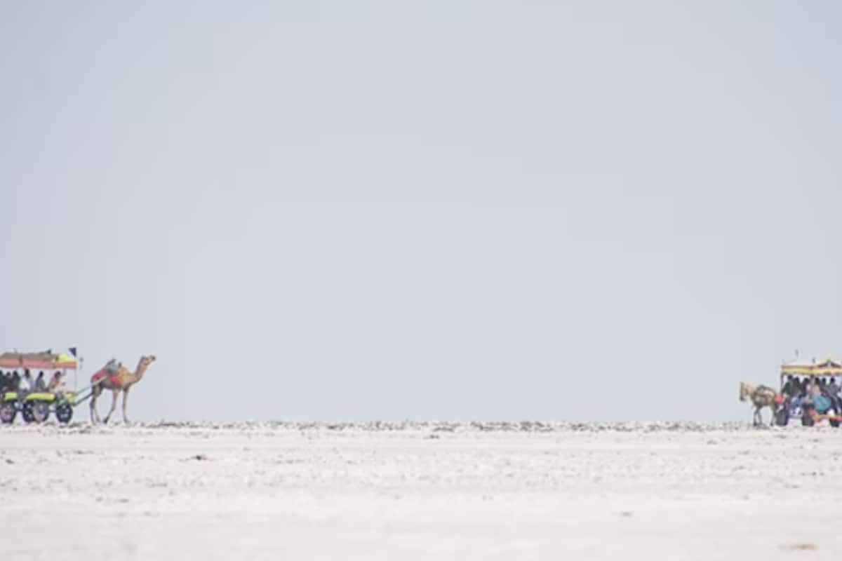 GK: Which Is India’s Largest District? It’s 31 Times The Size Of Delhi, Larger Than Several States