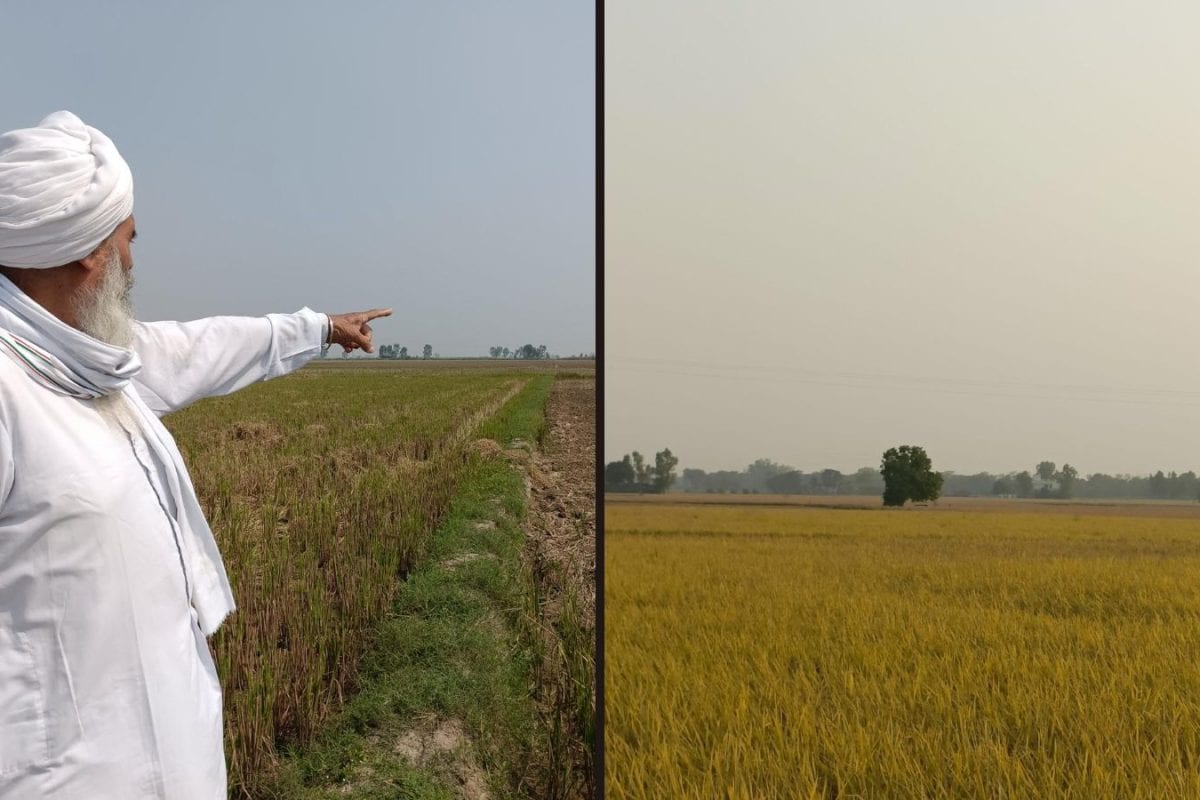 Delhi’s Air ‘Poor’ Before Stubble Fires Start, Punjab Farmers Ask What’s Causing it? Ground Report