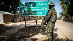 French energy giant Total faces war crimes allegations over Mozambique massacre