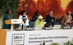 UN environment report ‘hijacked’ by US and others over fossil fuels, top scientist says