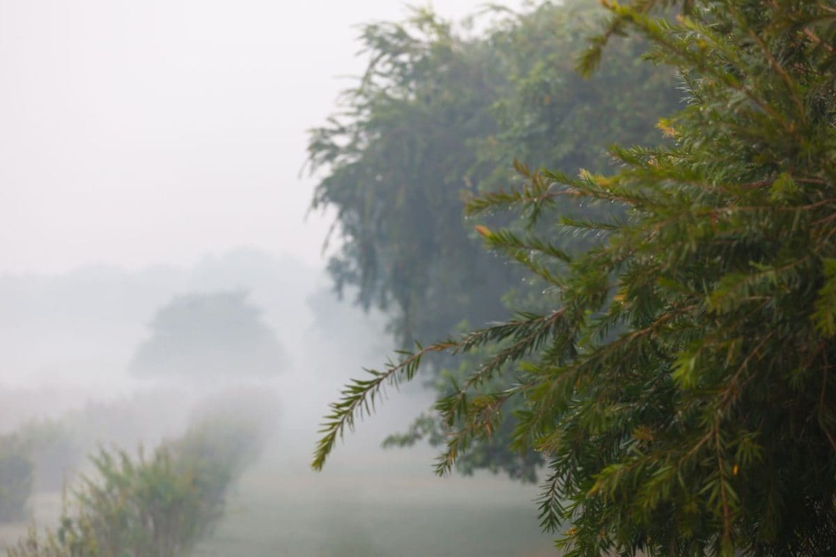From Pleasant To 8.5°C: Bengaluru’s December Winter Tightens Its Grip From Pleasant To 8.5°C: Bengaluru’s December Winter Tightens Its Grip