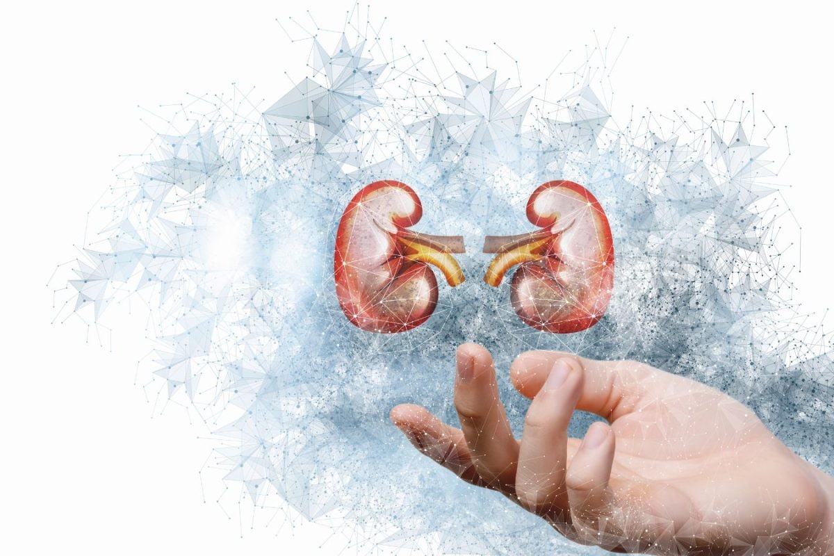 Donor Kidney Wasted Before It Could Save A Life In Bengaluru