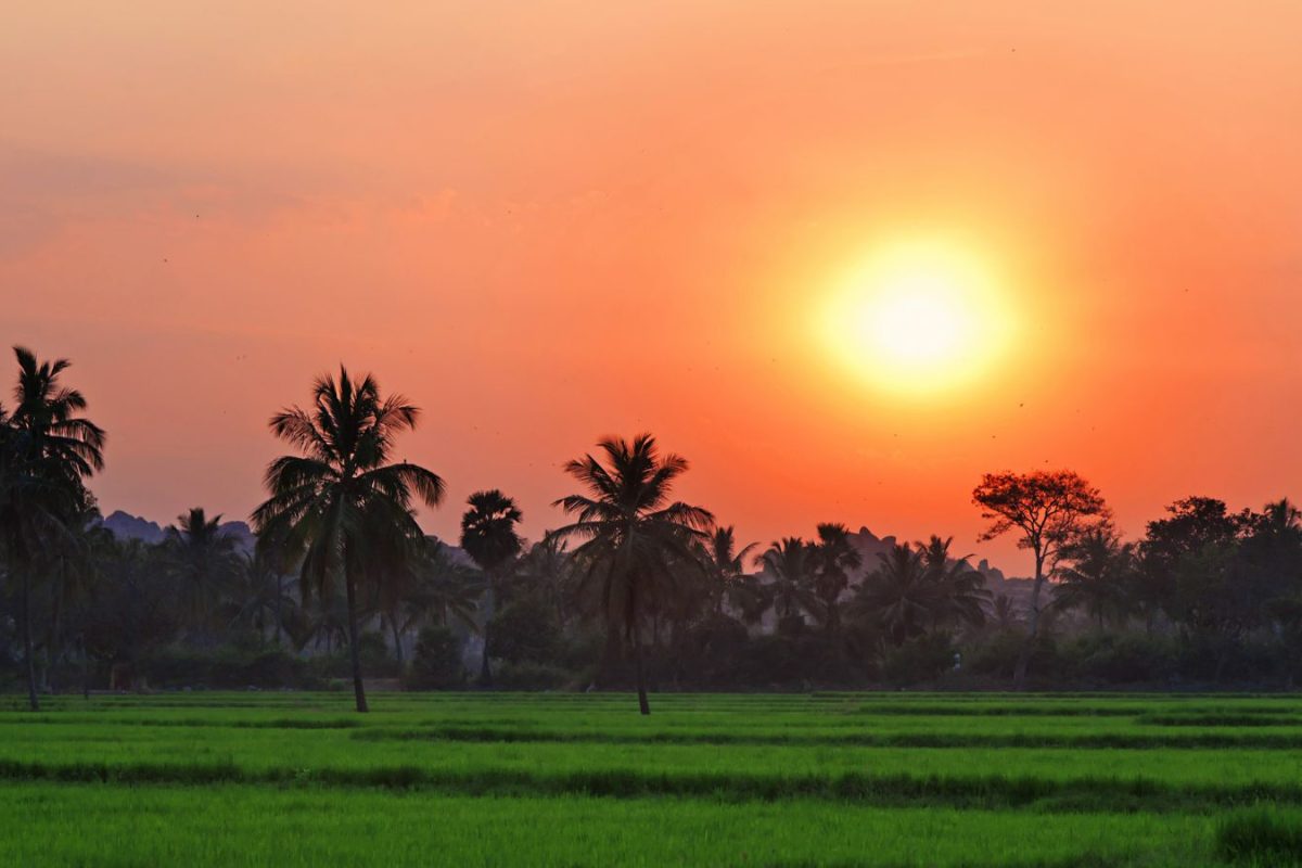 Karnataka Launches e-Swathu 2.0: Here’s How To Apply And Get e-Khata Documents