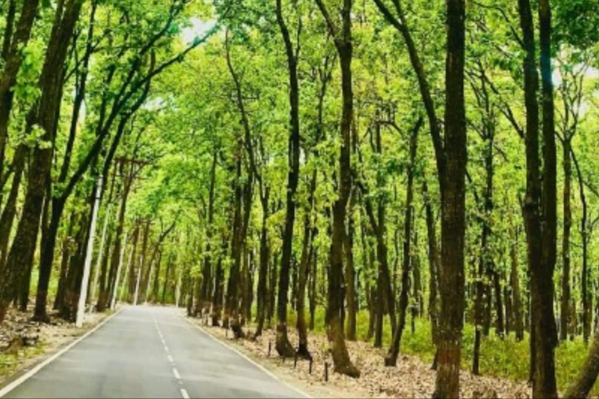 ‘Sitting Like Mute Spectators’: Supreme Court Raps Uttarakhand Authorities Over Forest Land Grabbing