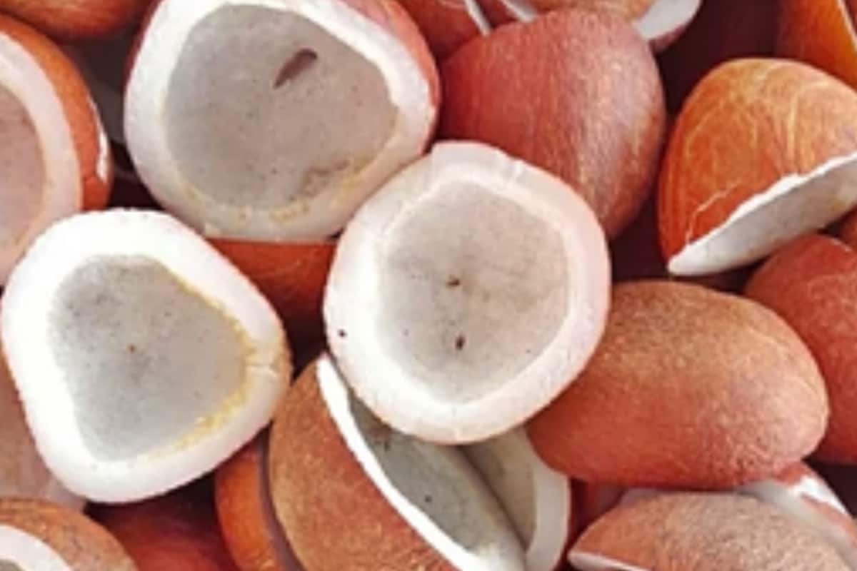 Cabinet Hikes Coconut MSP By Up To Rs 445 Per Quintal For 2026