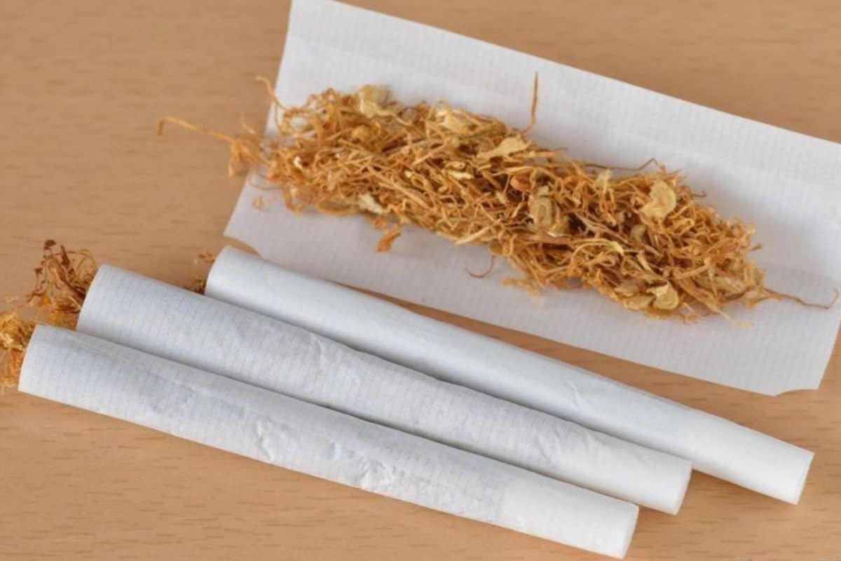Gujarat Govt Bans Sale Of Rolling Papers, Pre-Rolled Smoking Cones