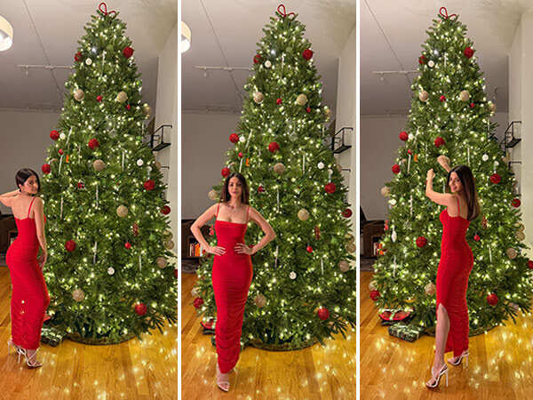 Vedhika celebrates Christmas in New York Vedhika celebrates Christmas in New York