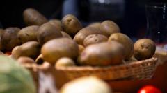 Chips, anyone? German farm gives away millions of potatoes after bumper harvest