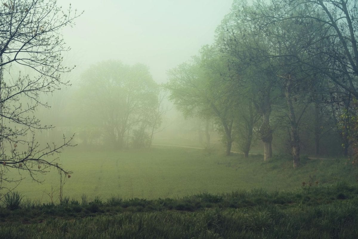 Bengaluru Shivers As Cold Tightens Across Karnataka, No Relief Likely Soon