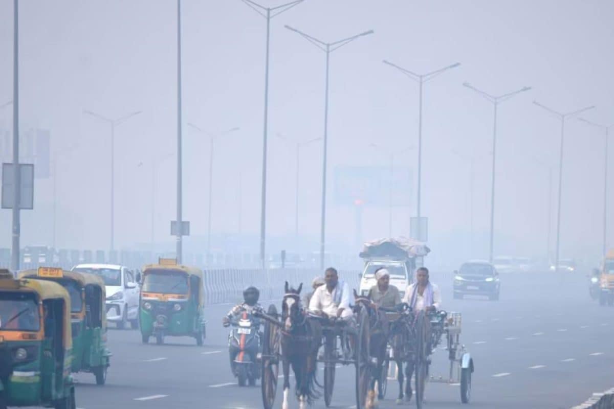 Cold Wave, Fog To Intensify Across North India: IMD Shares January 4’s Weather Update