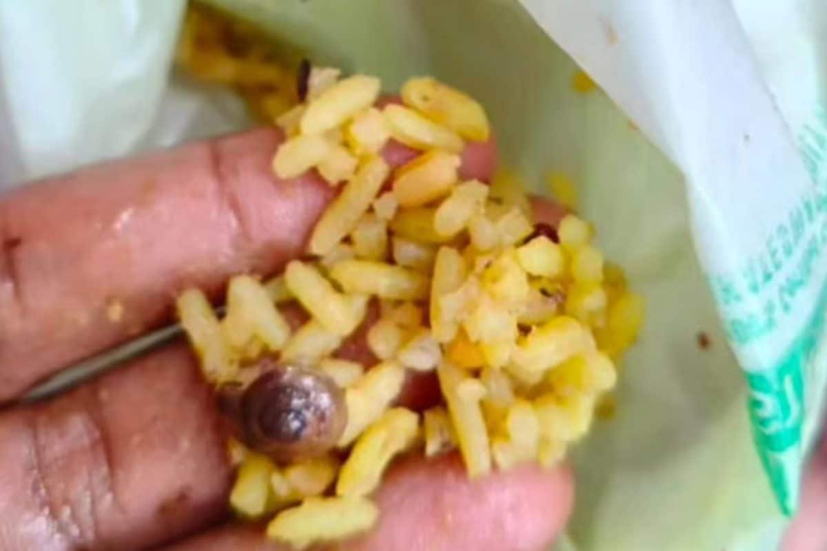‘Deliberate Attempt To Defame’: Visakhapatnam Temple Reacts To Viral Video Showing Snail In Prasadam