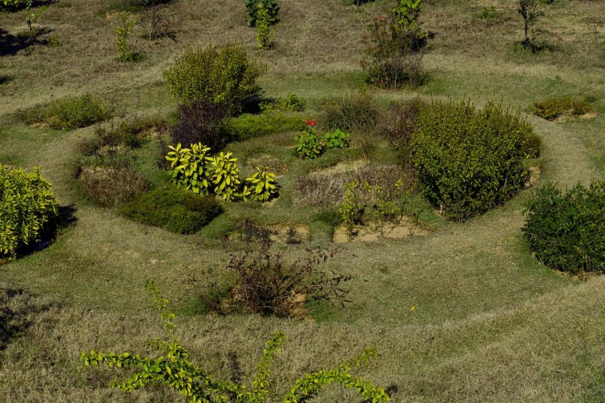 Bengaluru To Get New Biodiversity Park, Third Largest After Lalbagh And Cubbon Bengaluru To Get New Biodiversity Park, Third Largest After Lalbagh And Cubbon
