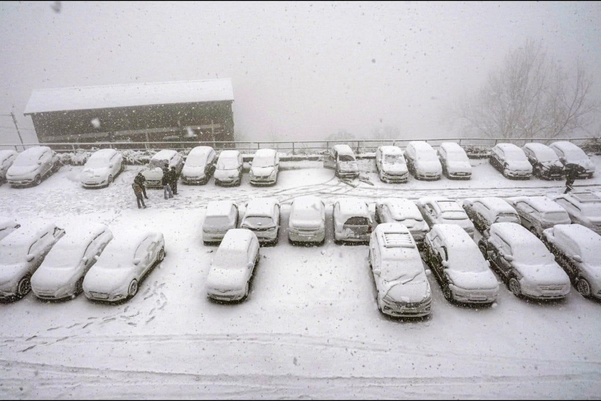 Western Disturbance To Bring Rain, Snowfall In North India This Weekend | Check IMD’s Forecast Western Disturbance To Bring Rain, Snowfall In North India This Weekend | Check IMD’s Forecast