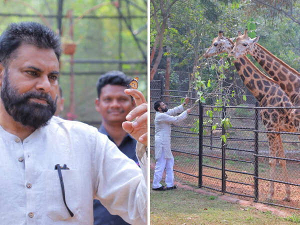 Photos: Pawan Kalyan Adopts Two Giraffes on His Motherâs Birthday