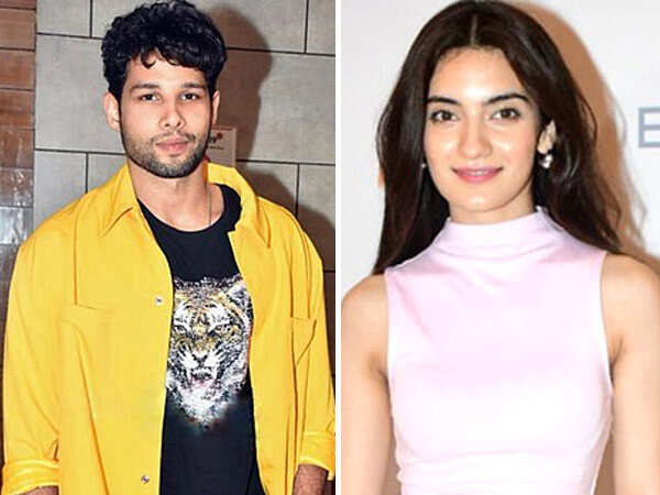 Siddhant Chaturvedi Denies Reports of Starring in Hindi Remake of Dear Comrade