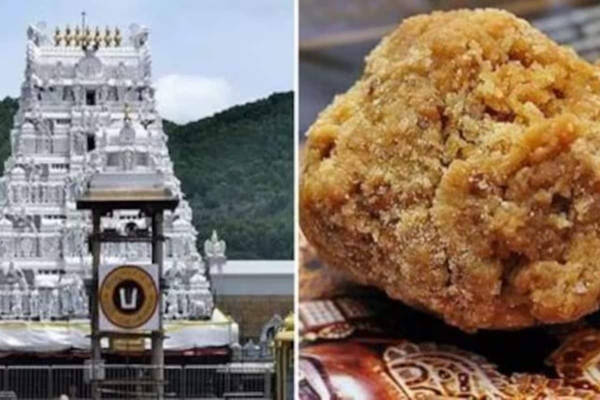 68 Lakh Kg Adulterated Ghee, Rs 250 Crore Conspiracy: SIT Reveals Scale Of Tirupati Laddoo Scam