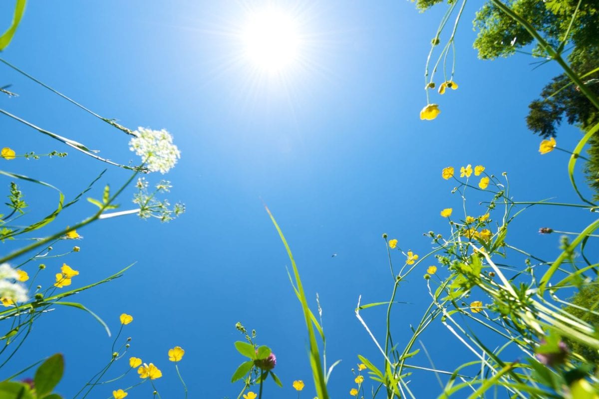 Bengaluru Weather: Temperatures Rise As Rain Forecast For Karnataka This Week