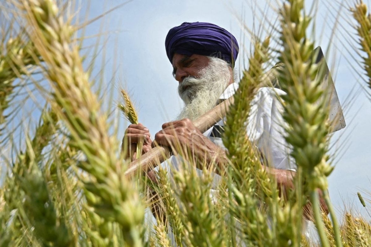 ‘Agriculture, Dairy Fully Protected’: What Piyush Goyal Said On India-US Trade Deal | Top Points