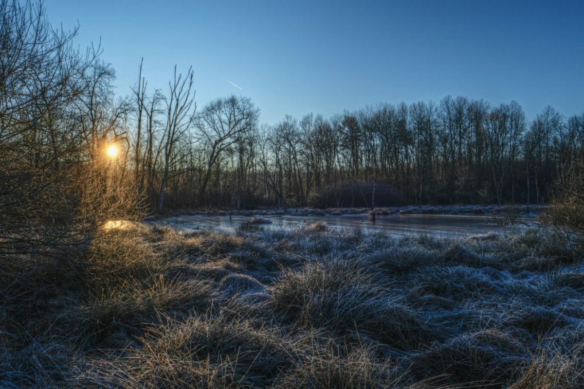 Dry Weather Stays In Bengaluru, But Some Areas Are Feeling The Cold More