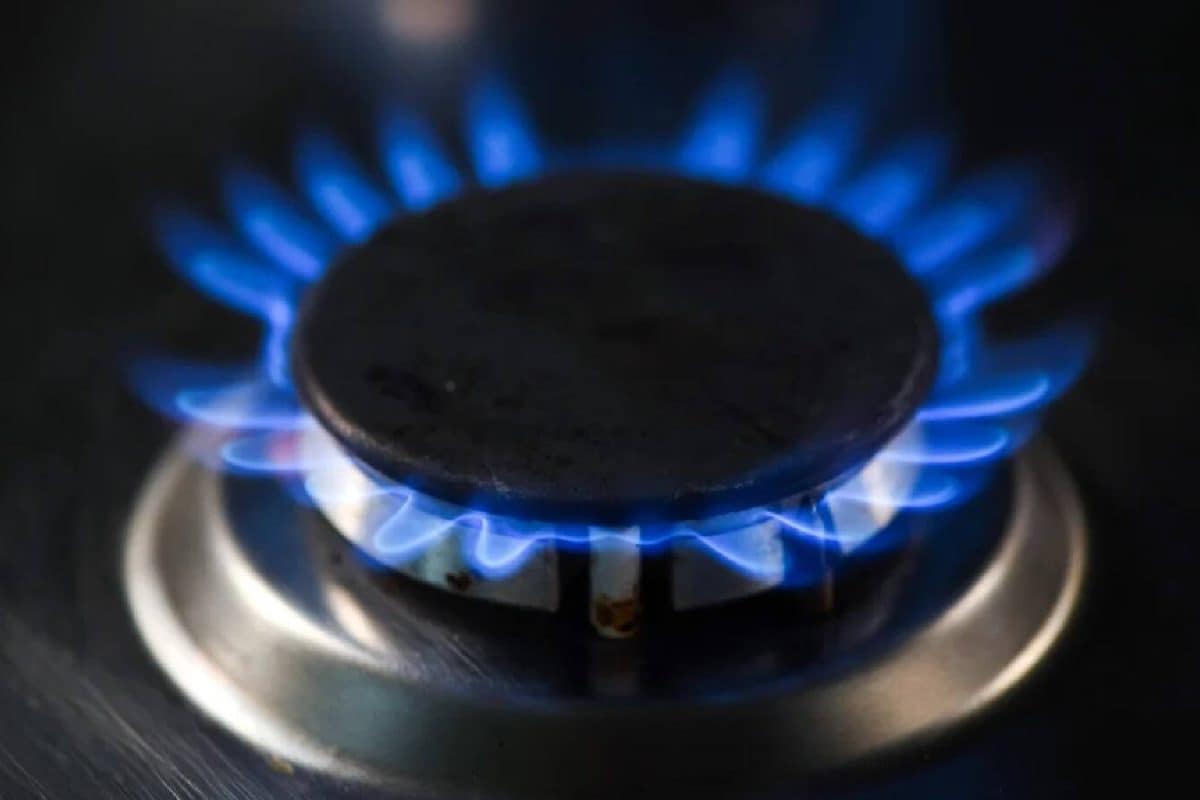 Cheaper Than LPG, Cleaner Than Kerosene: Can ‘Superblu’ Ethanol Flame Fire Up India’s Food Economy?