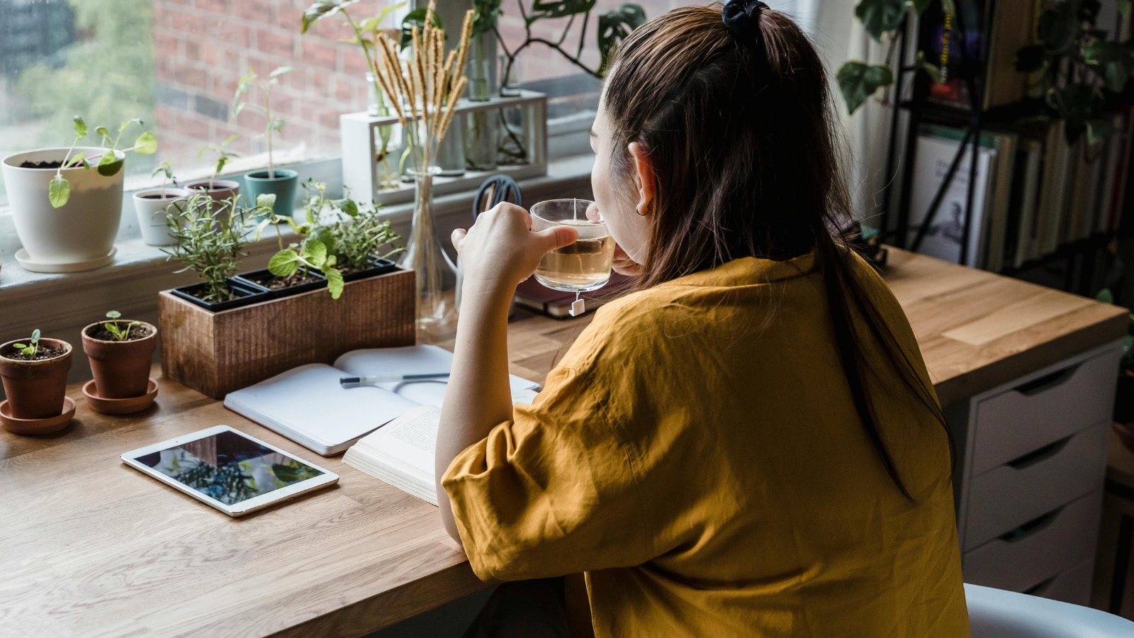 Woman Gets 7-Day ‘Rain Leave’ With Pay, Internet Calls It ‘Dream Job Perk’