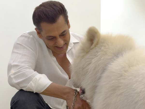 Salman Khan Shares a Heartfelt Post With His Furball